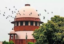 Supreme Court Verdict On Smuggling Case: After 41 years, Supreme Court finds accused guilty but waives prison term | India News
