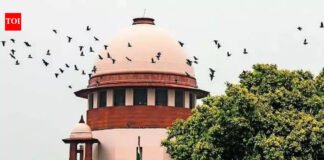 Supreme Court Verdict On Smuggling Case: After 41 years, Supreme Court finds accused guilty but waives prison term | India News