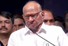 Congress backs Sharad Pawar for Rajya Sabha, MVA closes ranks in Maharashtra | India News