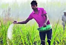 India Fertilizer Supply 2026: Gulf conflict: LNG squeeze may impact urea output ahead of kharif season | India News