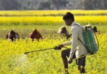 Shift from traditional to technology-driven farming – UP sees surge in agricultural productivity | India News