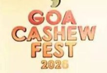 Goa cashew fest to create awareness about safe driving | India News