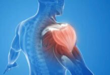 Losing muscle with age? New Indian guidelines warn of a hidden health risk | India News