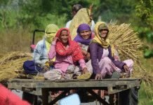 From SHGs to drone technology: Inside India’s growing push for women’s economic empowerment | India News