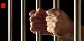 Jammu and Kashmir: 2 mobiles, being smuggled inside jail, recovered in Doda | India News