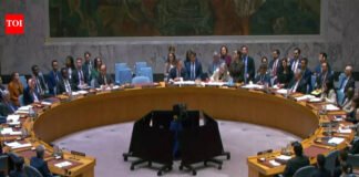 Middle East crisis: India backs UNSC resolution condemning Iranian strikes on Gulf nations | India News