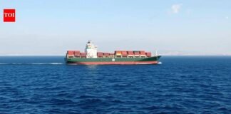 ‘Jaishankar spoke to Iran FM 3 times’: India flags ships safety, energy security concerns | India News