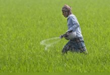 Scheme to reduce chemical fertiliser use remains a ‘non-starter’; no incentives released to states yet | India News