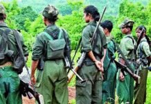 11 Maoists with Rs 63 lakh bounty surrender | India News