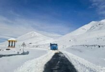 Wintry spell returns as snow & rain cool Kashmir | India News