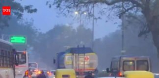 Fears of early summer recede, wet spells likely in North till March-end | India News