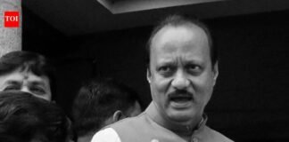 Fadnavis writes to Shah, seeks probe into Ajit Pawar’s plane crash | India News