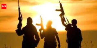 Global Terrorism Index 2026 : Map in report shows Jammu as part of China | India News