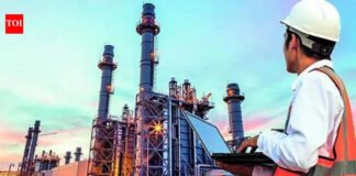 Govt classifies energy data as national security matter | India News