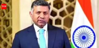 Veteran diplomat Doraiswami to be next ambassador to China | India News