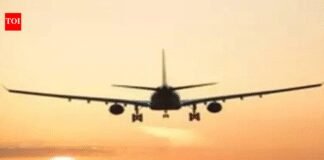 Call for direct civilian flights from Kargil | India News