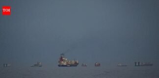 Coordination underway to enable plan for naval escorts for stranded ships, including Indian-flagged ones: DG Shipping to govt | India News