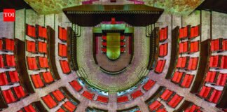 A Rajya Sabha rummy: How BJP manages ‘floating majority’ with bellwether backings | India News