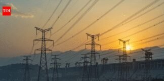 Power distribution companies in Delhi, Noida emerge top performers in govt survey | India News