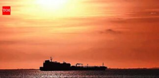 A harrowing time but home at last, recalls crew member of Indian-flagged ship | India News