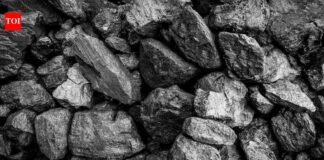 Adequate coal stocks to meet rising energy needs: Govt | India News