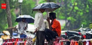 Lpg Cylinder: Your next LPG refill could be of 10kg instead of regular 14.2kg | India News