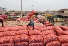 75L jobs added in informal sector in 2025: NSO survey | India News